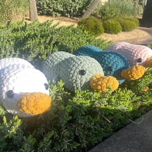 Crochet Platypus