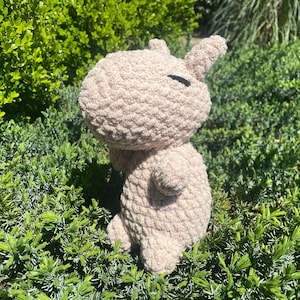 Crochet Capybara