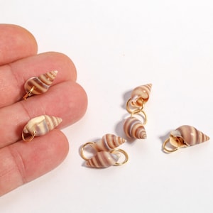 May include: Several small, natural seashells with brown and white stripes are displayed. Each shell is attached to a small gold-colored ring. The shells are arranged on a white surface, suggesting a craft or jewelry-making theme.
