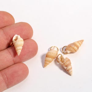 Natural Spiral Shell Charm with Gold Loop, Organic Spiral Shell Dangle for Earrings, Natural Shell Connector, Jewelry Making Supply, ALT-183