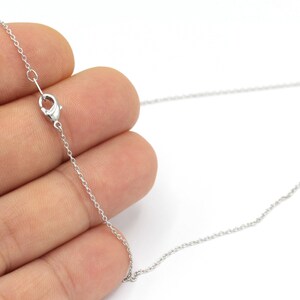 May include: A silver chain necklace with a lobster clasp closure.