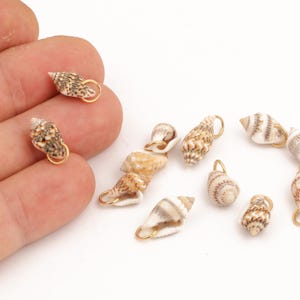 Natural Sea Shell Charms with for Jewelry Making, Small Real Shell Pendants with  Jump Ring for DIY Crafts, Mini Beach Shell Charms, ALT-448