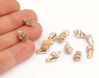Natural Sea Shell Charms with for Jewelry Making, Small Real Shell Pendants with  Jump Ring for DIY Crafts, Mini Beach Shell Charms, ALT-448
