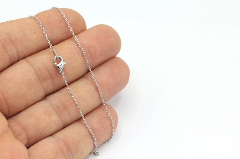 May include: A silver chain necklace with a lobster clasp closure.