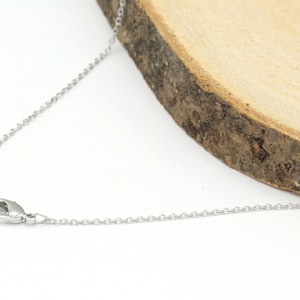 May include: A silver chain necklace with a lobster clasp closure.