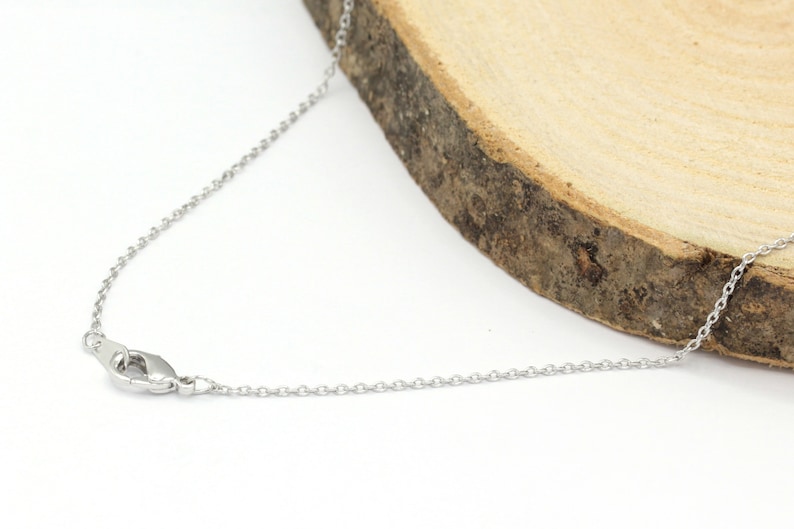May include: A silver chain necklace with a lobster clasp closure.