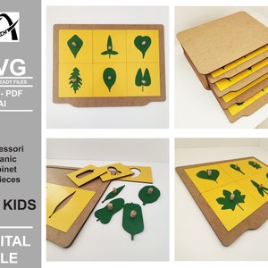 Gabinetto di botanica Montessori - Forme di botanica fogliare - Sviluppo del bambino - File pronti per il laser digitale - SVG - DXF - PDF - Glowforge