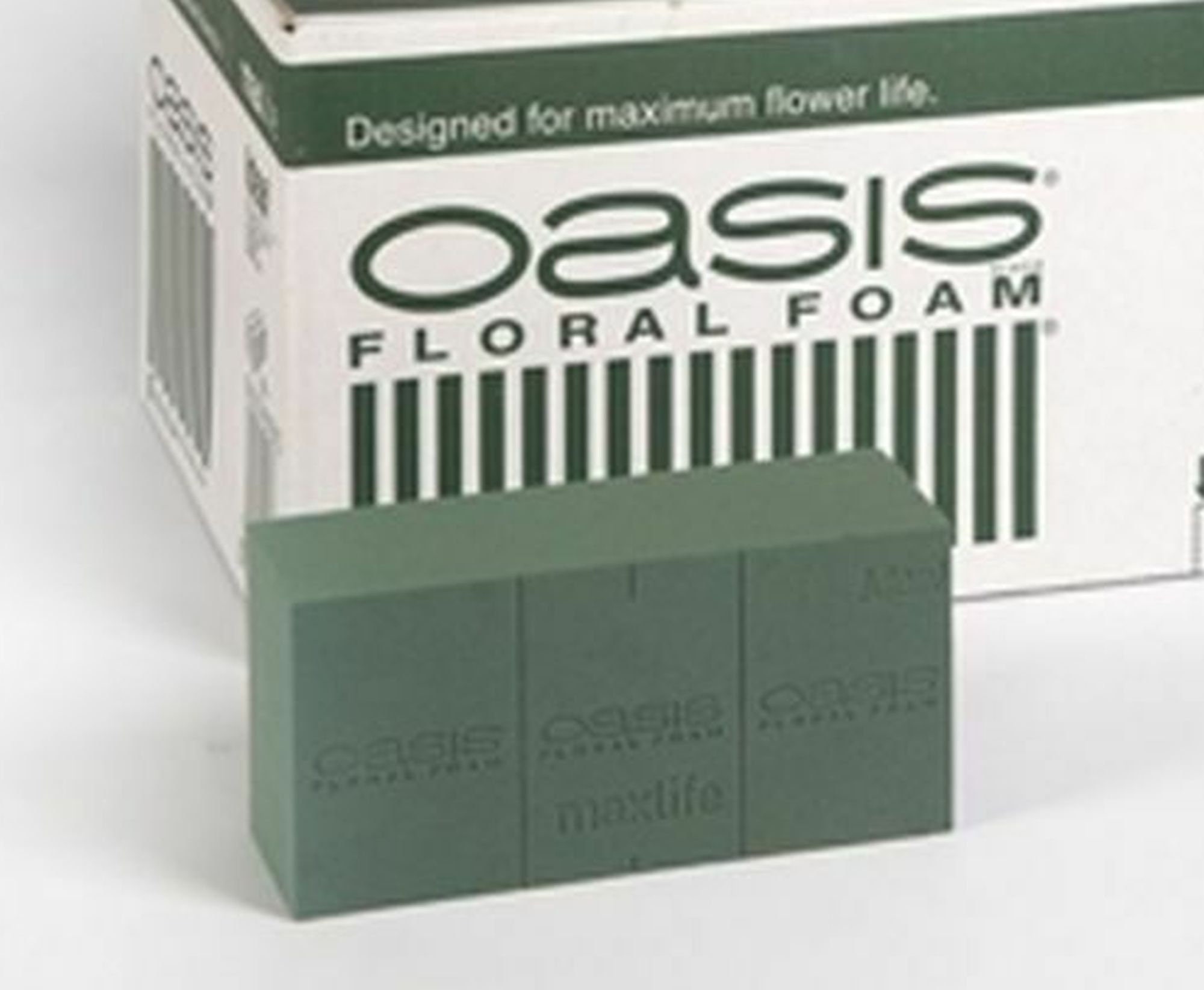 Oasis Maxlife Wet Foam Brick (Box of 20), Floral Craft