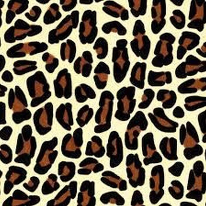 Leopard Print Tissue Paper 18gsm Etsy UK