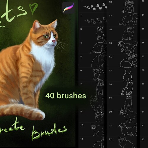 40 Procreate Cats Brushes. Procreate Brushes. Procreate Stamps Etsy