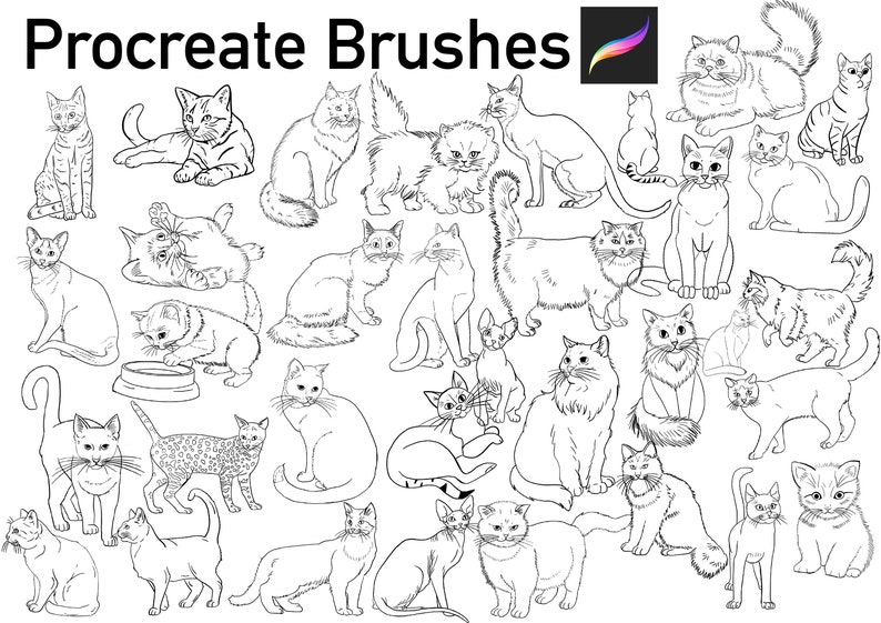 40 Procreate Cats Brushes. Procreate Brushes. Procreate Stamps Etsy