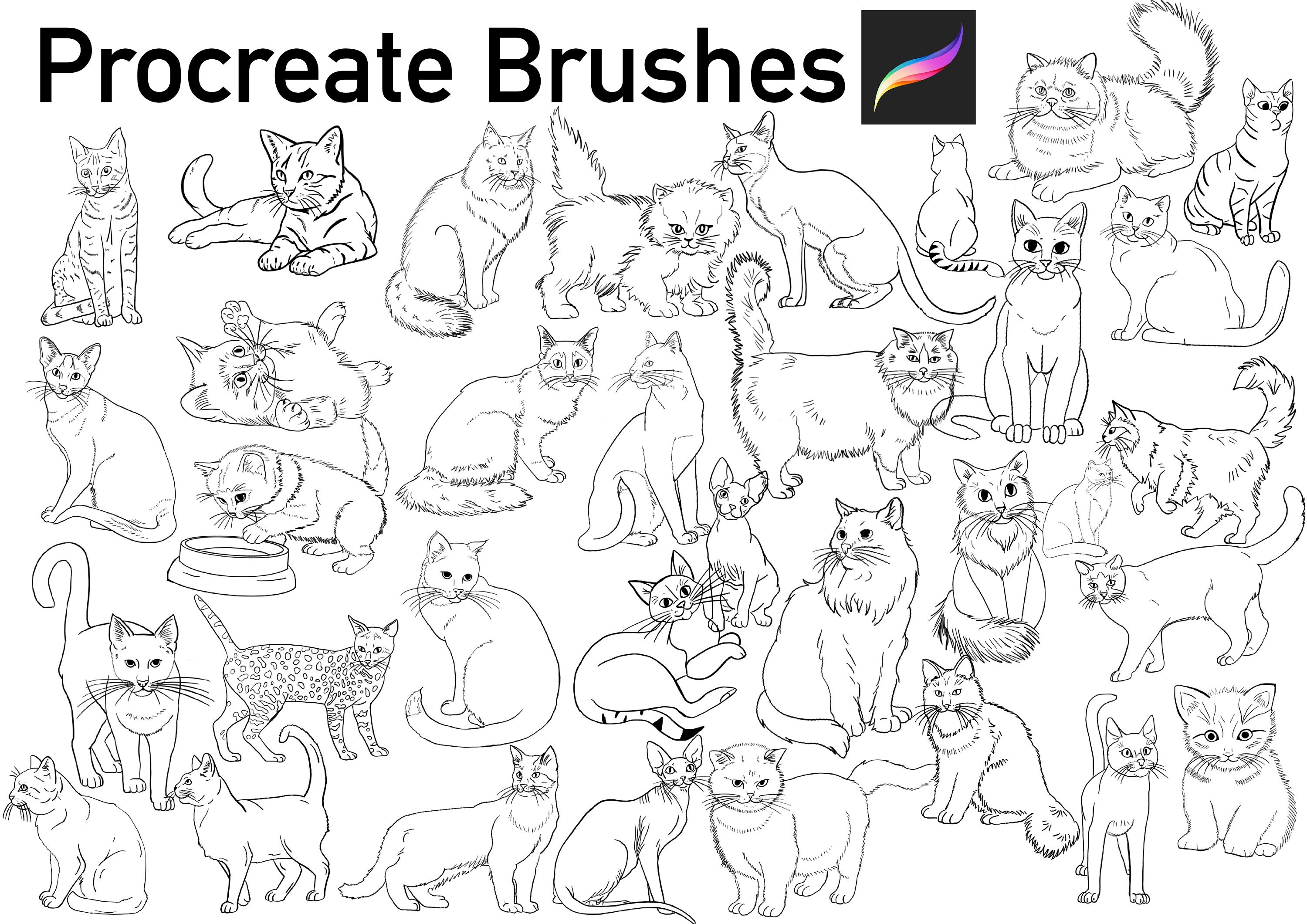 40 Procreate Cats Brushes. Procreate Brushes. Procreate Stamps Etsy