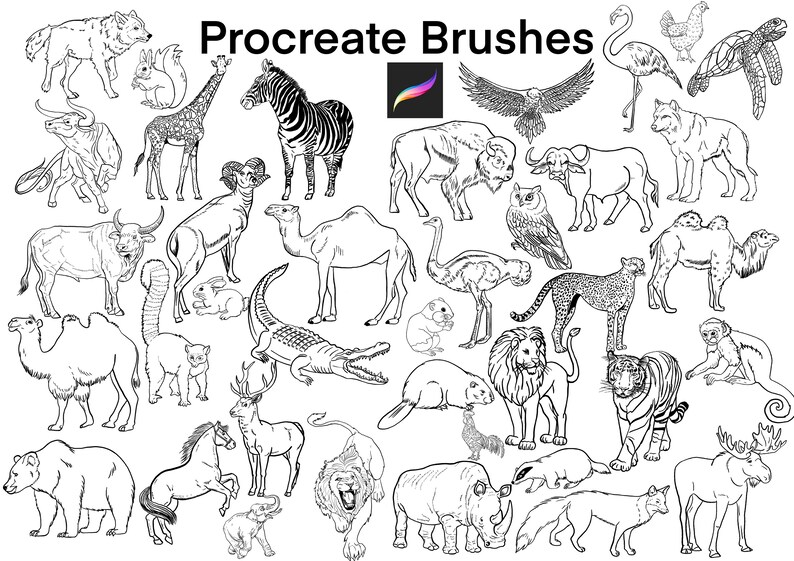 40 Procreate Animals Brushes. Procreate Animals Stamps. Etsy
