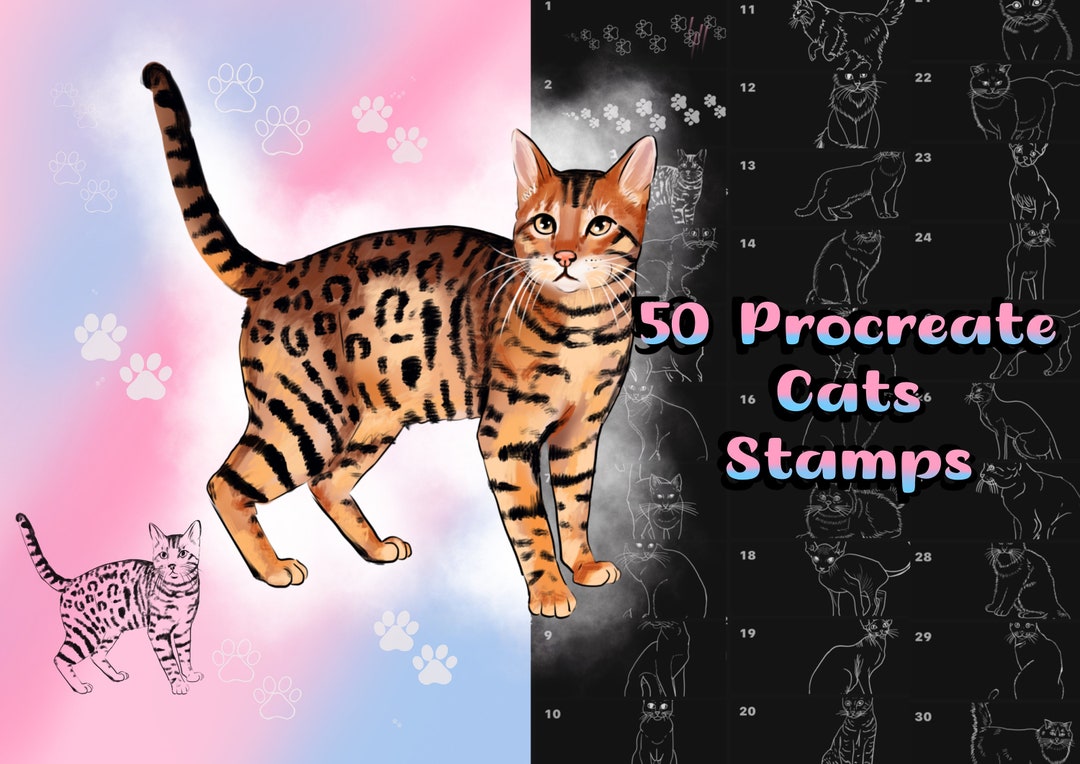 Procreate Cats Brushes Procreate Stamps Etsy