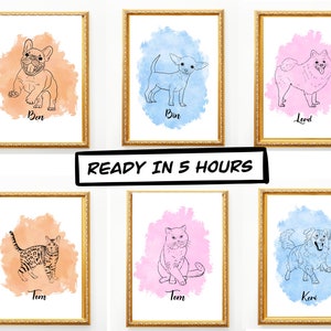 Custom Pet Portrait, Dog Portrait, Cat Portrait, Pet Portrait Drawing from a photo, One line drawing, Personalized Gifts, Custom Line Art