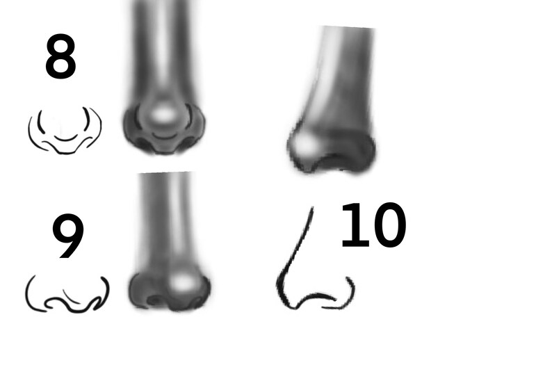 Procreate Nose Brushes. Procreate Stamps. Etsy