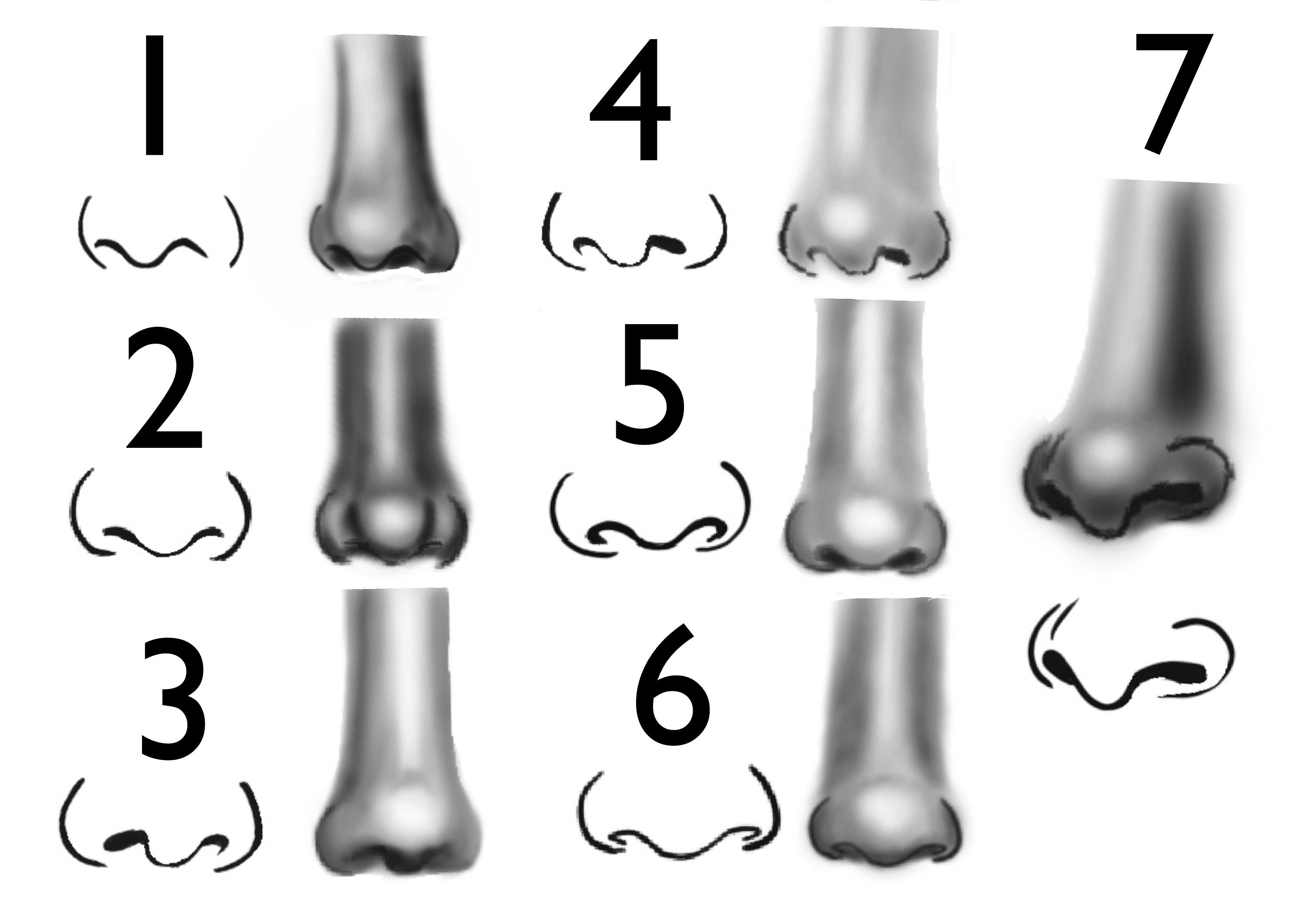 Procreate Nose Brushes. Procreate Stamps. Etsy