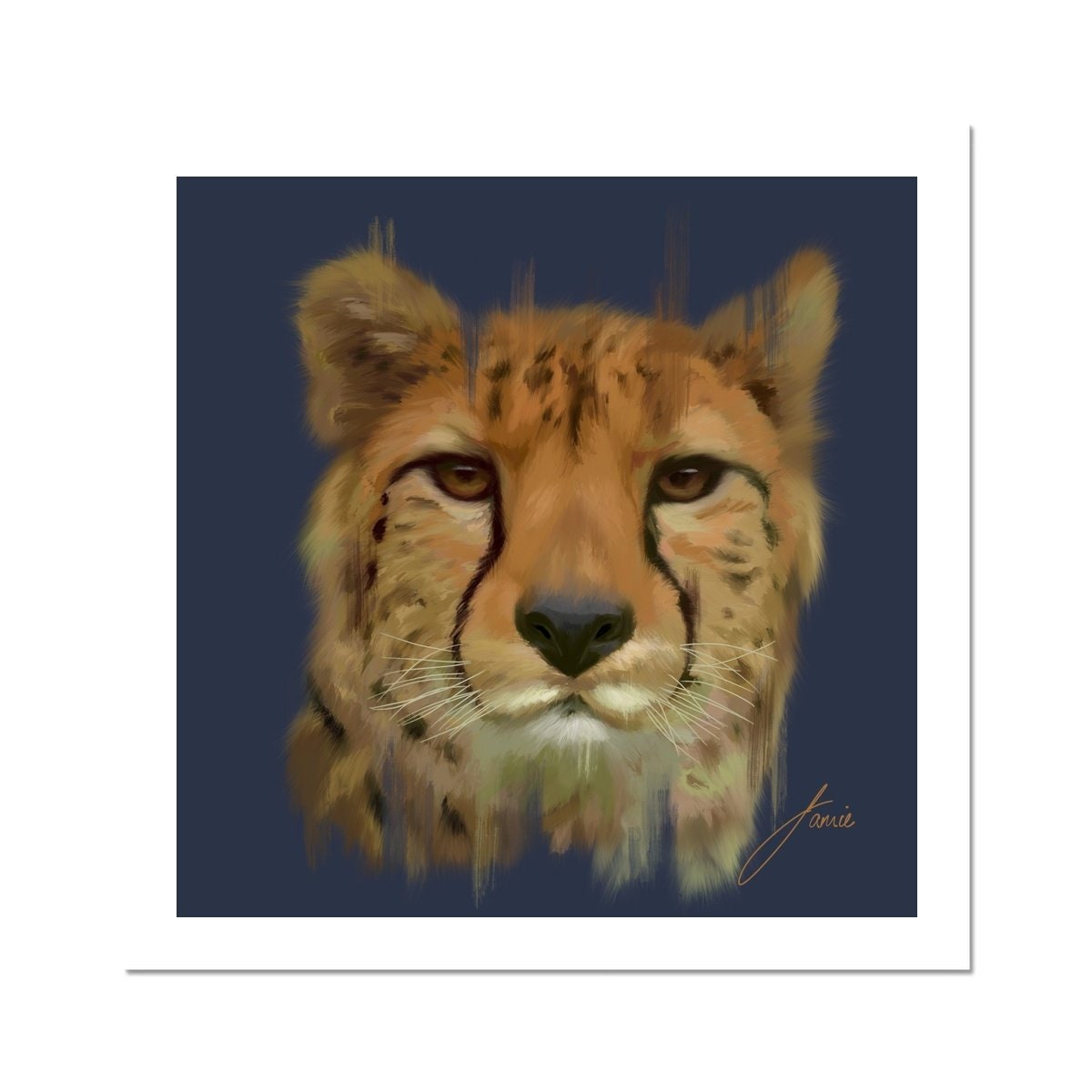 Cheetah Fine Art Print Etsy