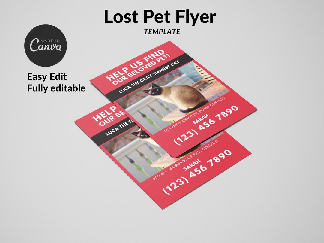 Missing Cat Ad Poster, Missing Cat Template, Lost Cat Flyer Template