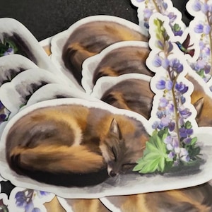 Sleeping Gray Fox Sticker - Hummingbird & Blue Flowers Vinyl Decal, Waterproof Spring Nature Art