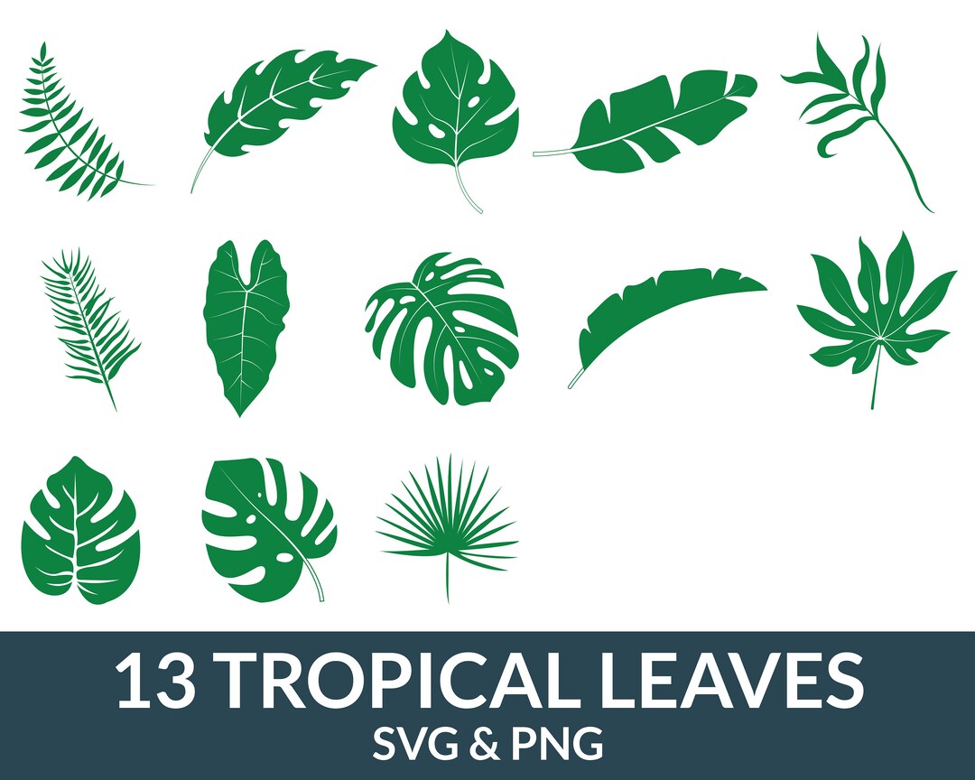 Tropical Leaves Svg Bundle, Palm Branch Svg, Monstera Leaf Svg, Jungle ...
