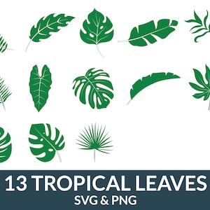 Tropical Leaves Svg Bundle, palm branch svg, monstera leaf svg, jungle leaves svg, tropical leaf svg