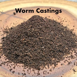 May include: A conical pile of dark brown, granular worm castings with a coarse, crumbly texture. The text "Worm Castings" is printed in black, sans-serif capital letters above the mound of organic matter, which sits on a light brown surface.