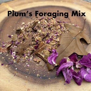 Hermit Crab Food – Plum’s Foraging Mix – Banana, Oak, Catappa, Maple, Pumpkin, Flower Petals