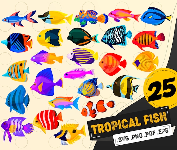 Download Fishes Clipart Fish Svg Sea Clipart Fishing Clipart Etsy