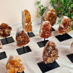 Citrine Cluster on Stand - Citrine Freeform Druzy - Raw Crystal Heat Treated Citrine - citrine raw on stand - Citrine Druzy Crystal Cluster