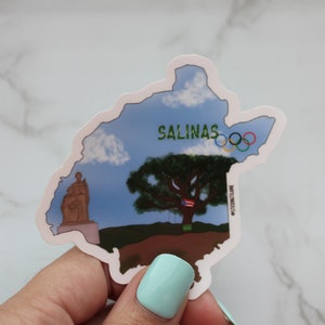 Salinas Map Puerto Rico Aufkleber Matte Sticker für Laptop, Wasserflaschen und andere nicht poröse Oberflächen; Druckbare Magnete
