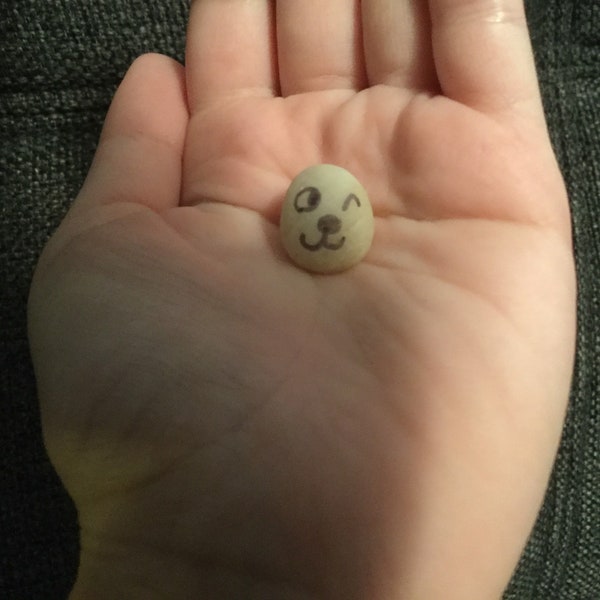 Happy pet rock