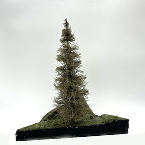 Peut inclure: Modèle miniature d'un conifère avec une base verte, posé sur une base en bois noir.