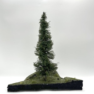May include: A miniature evergreen tree with green foliage is set on a small, brown, rectangular base with a green, grassy surface.