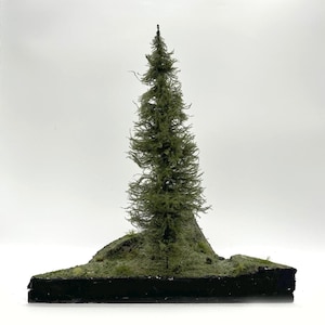 12&quot; Model Pine Tree