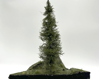 12" Model Pine Tree