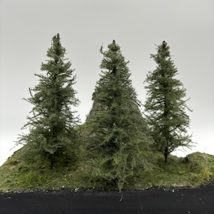 Peut inclure: Trois arbres miniatures à feuilles persistantes sont disposés sur une petite base rectangulaire à cadre noir recouverte de mousse verte. Les arbres sont en feutre vert et sont disposés en rang.