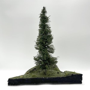 May include: A miniature model of a tall, slender evergreen tree with textured green foliage. The tree is mounted on a dark, flat, triangular base covered in green moss and small patches of grass, creating a realistic forest floor appearance.