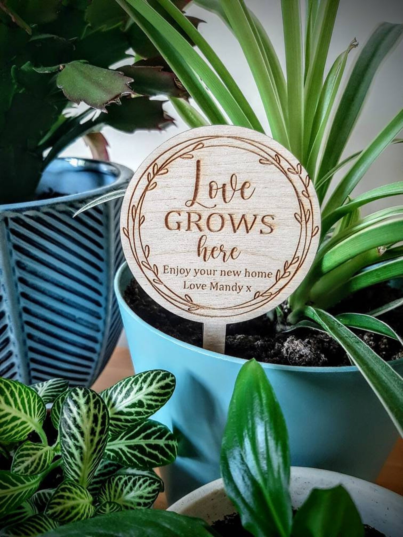 Personalised Plant Gift Sign / Plant Pot Sign Etsy UK
