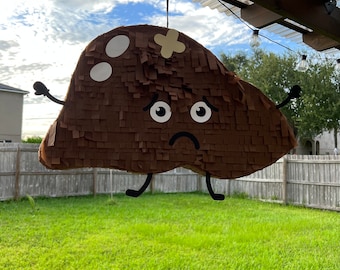 Liver Organ   Pinata