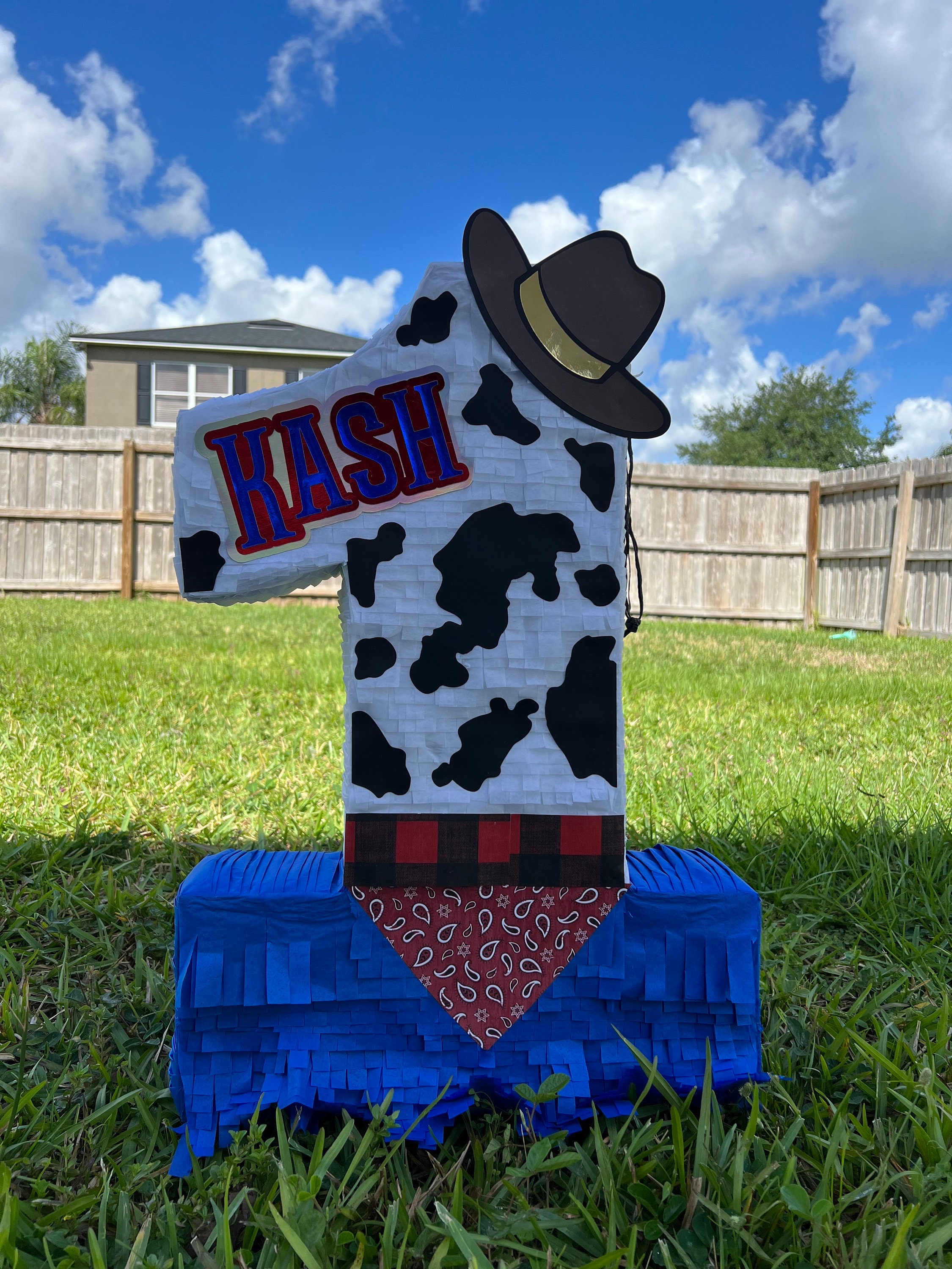 Cowboy Pinata (Numbers available 1-9)