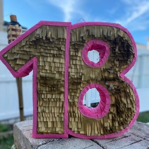 Number Pinata 1-99 available (Single or Double, Custom Colors)