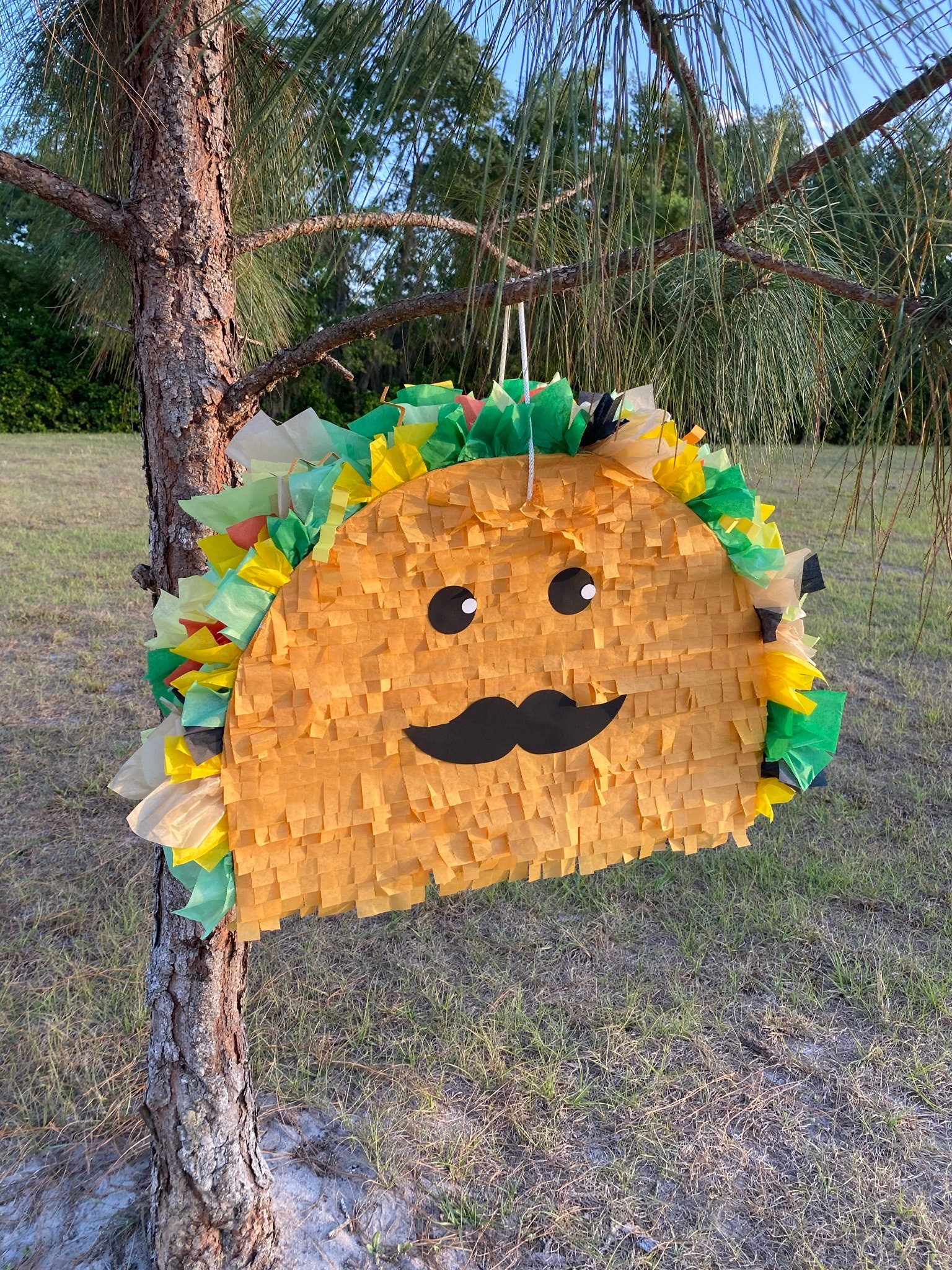 Taco Pinata mexican Theme Party Taco Girl or Boy Etsy