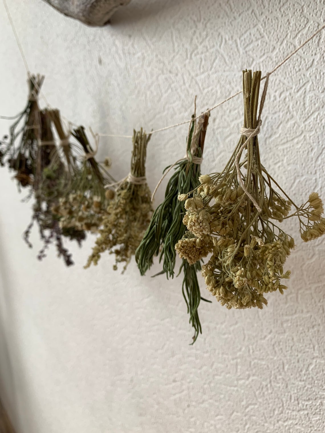 Witch Herbs Dried Flower Bouquet Witchcraft Herbs Mystery Etsy