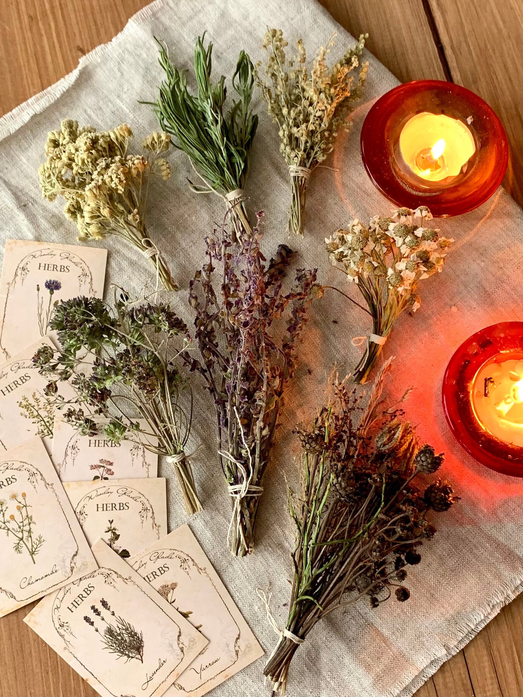 Dried Roses Witchcraft - xzld1es