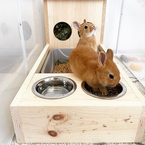 rabbit feeding station