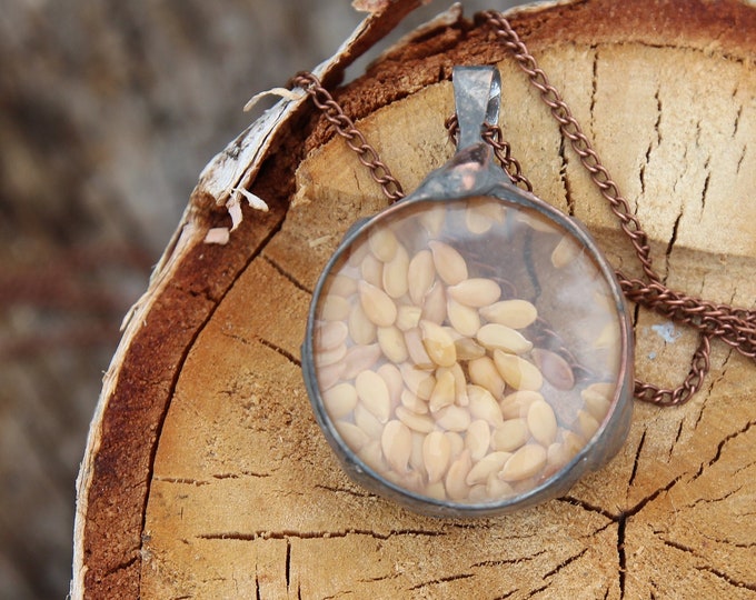 Terrarium Necklace Terrarium Jewelry Flax plant seed necklace Herbarium Botanical Necklace Pressed Flowers necklace Dried Flowers