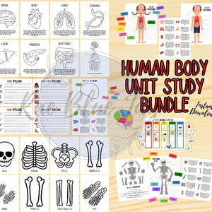 Human Body Unit Study, Human Body Bundle, Learn About the Body, Instant Download, Human Body Printable, Human Body Learning