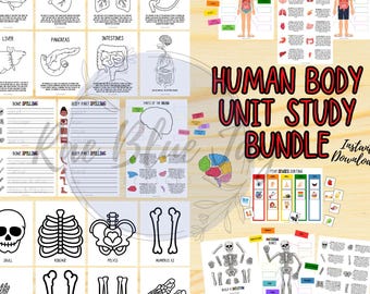 Human Body Unit Study, Human Body Bundle, Learn About the Body, Instant Download, Human Body Printable, Human Body Learning