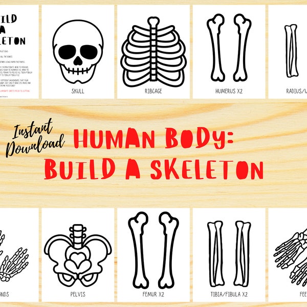 Build a Skeleton, Life Size Skeleton, Human Body Study, Skeleton Activity, Learning About Bones, Bones of the Body, Body Printable